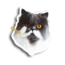 clouski