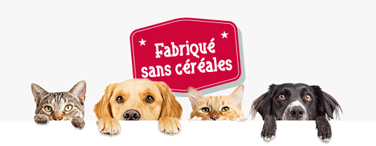 croquettes-sans-cereales