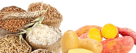 taux de glucides croquettes chien et chat